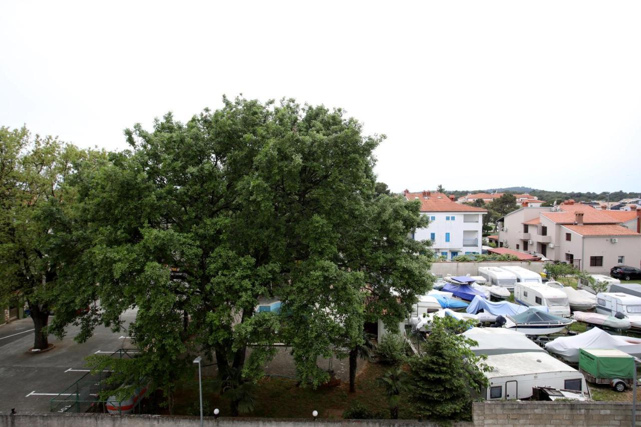 מדולין Apartman Izabela מראה חיצוני תמונה