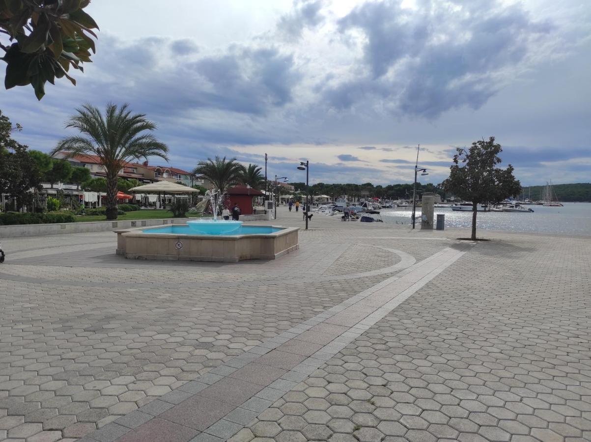 מדולין Apartman Izabela מראה חיצוני תמונה